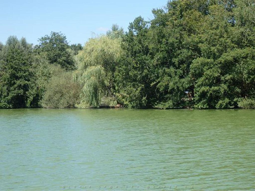 101PARC AUX OISEAUX DANS L AIN 2016 1_000035.jpg